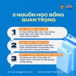 SĂN HỌC BỔNG CAO: LỘ TRÌNH 12 THÁNG VÀ BÍ QUYẾT HỒ SƠ