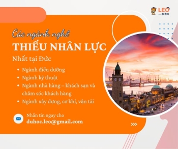 CÁC NGÀNH NGHỀ ĐANG THIẾU NHÂN LỰC NHẤT TẠI ĐỨC LÀ GÌ?