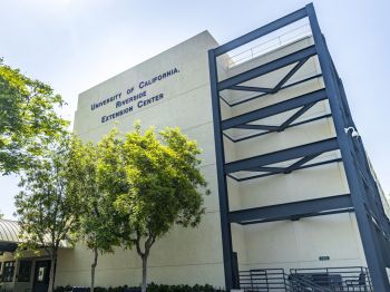 University of California Riverside Extension - Đường vào Top 100 Đại học University of California danh giá, không cần SAT/ACT