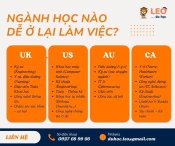 Ngành học nào dễ ở lại làm việc sau du học?